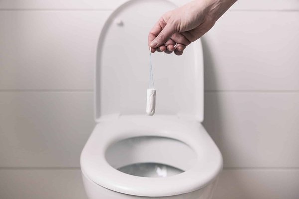Les toilettes sèches écologiques : une solution viable pour les zones rurales sans système d'égouts ?