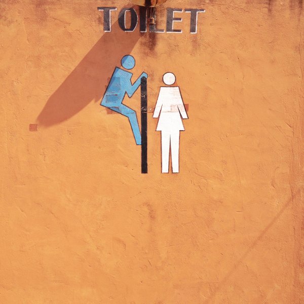 Est-ce que les toilettes sèches écologiques peuvent être une solution durable pour les zones rurales qui n'ont pas de système d'égouts ?