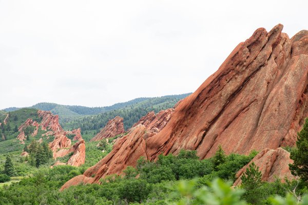 Quels sont les enseignements proposés dans une école de management ?