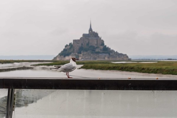 Le camping dans la Manche: profitez de la magnifique vue du bord de la mer.